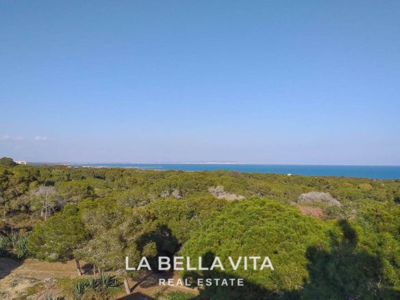 New Build Apartments for sale in Guardamar del Segura centre, Alicante