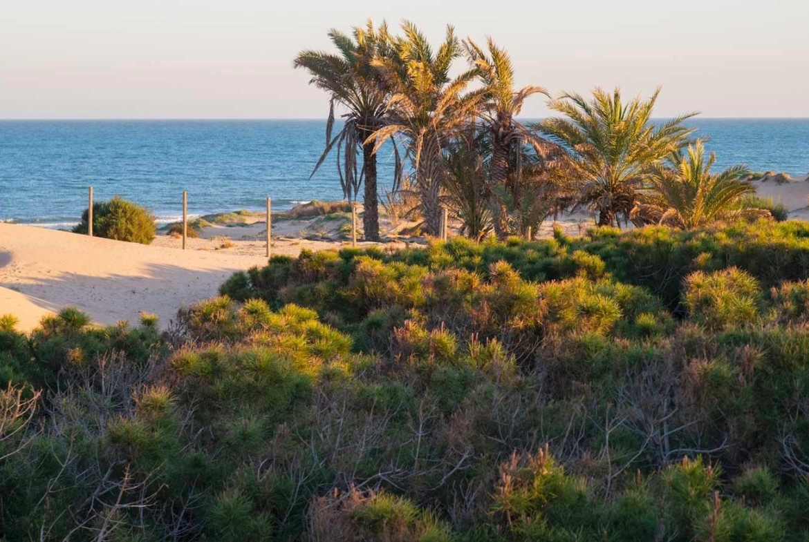 Modern-New-Build-Apartments-Near-the-Beach-and-Marina-in-Guardamar-del-Segura-8 Beach in Guardamar del Segura
