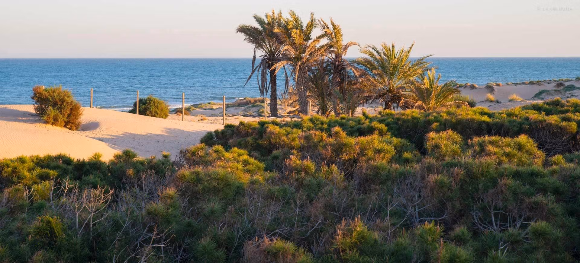 Beach in Guardamar del Segura