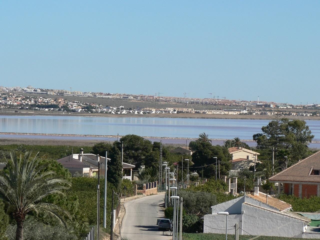 NEW-BUILD-VILLAS-IN-LOS-MONTESINOS-15 Key-Ready New Build Single-Storey Villa with Private Pool for Sale in Los Montesinos, Costa Blanca