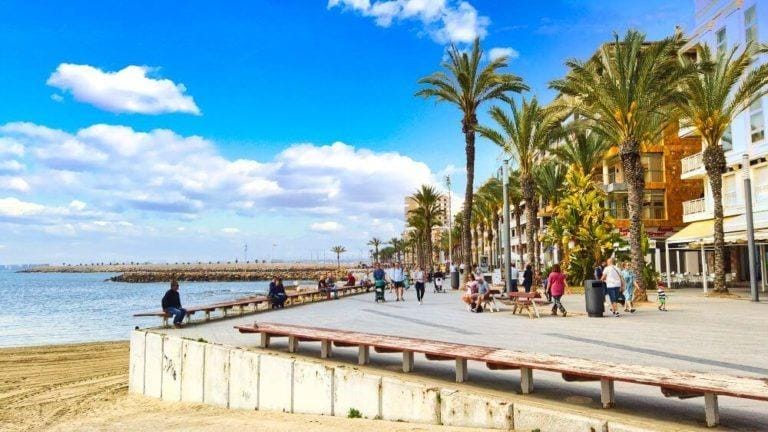 Beachfront promenade with palm trees near a sunlit new build 1 bedroom penthouse for sale in Torrevieja