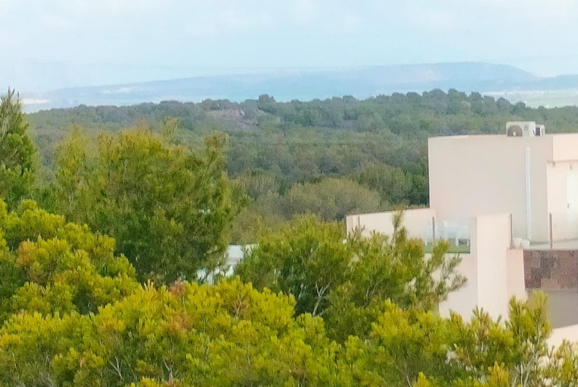 Modern 3-bedroom new build in Orihuela Costa with lush greenery views and distant sea glimpses near the beach.