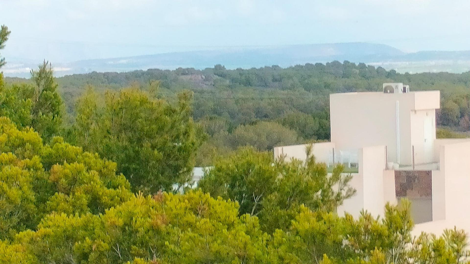 Modern 3-bedroom new build in Orihuela Costa with lush greenery views and distant sea glimpses near the beach.