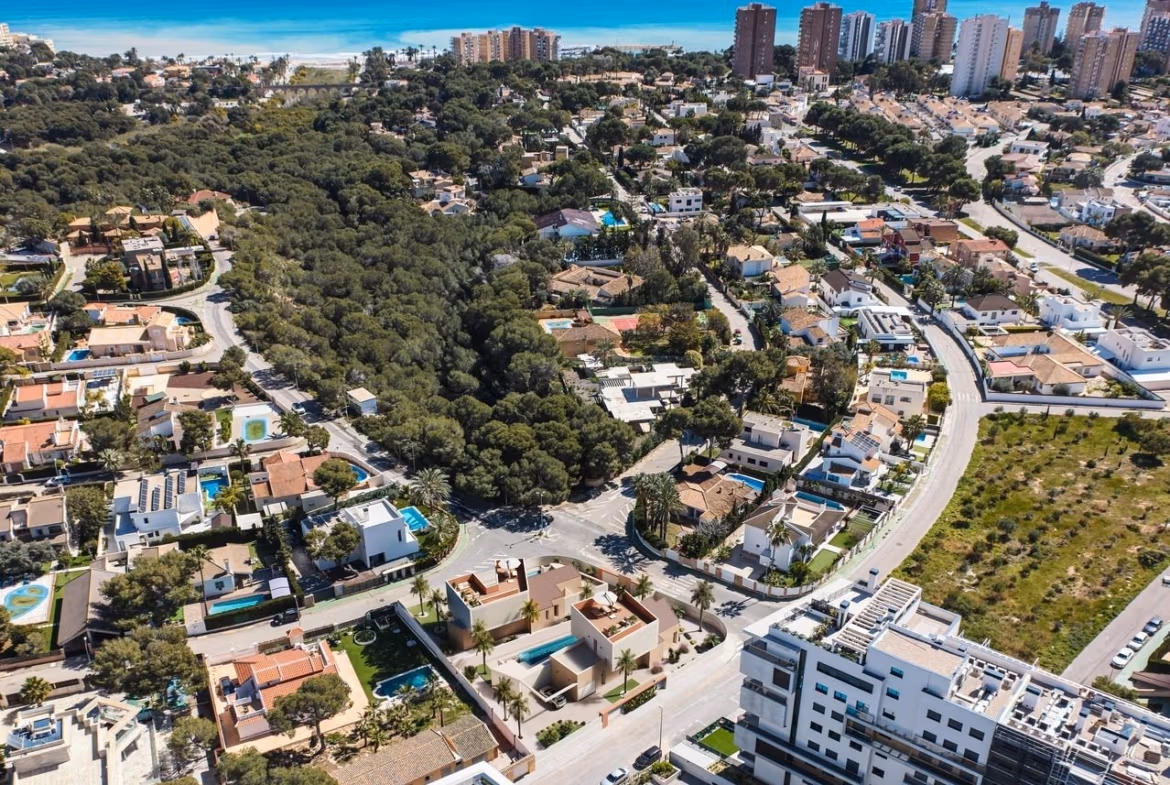 Luxury-New-Build-Villas-with-Sea-Views-in-Dehesa-de-Campoamor-Costa-Blanca-South-2 Panoramic coastal view over Dehesa de Campoamor featuring modern villas, lush greenery, and the sparkling Mediterranean Sea.