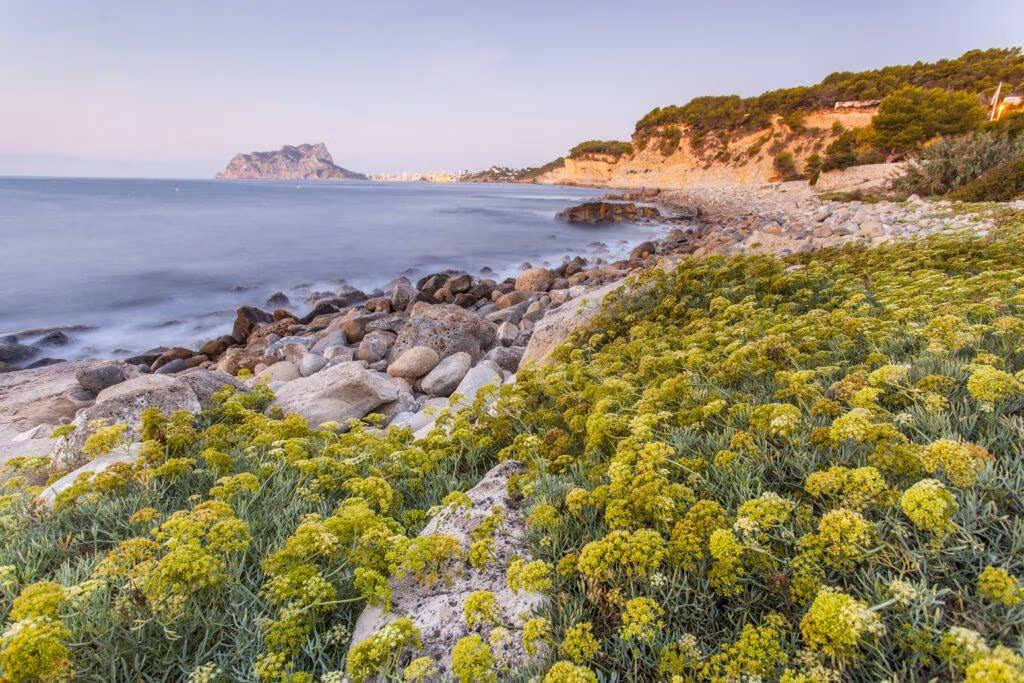 Rocky coastline with vibrant coastal flora and stunning sea views near the charming Ibizan-style villa in La Fustera, Benissa.