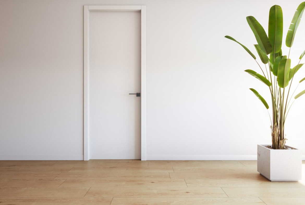 Minimalist modern interior with sleek white door and decorative green plant in luxury ground floor apartment in Torrevieja.