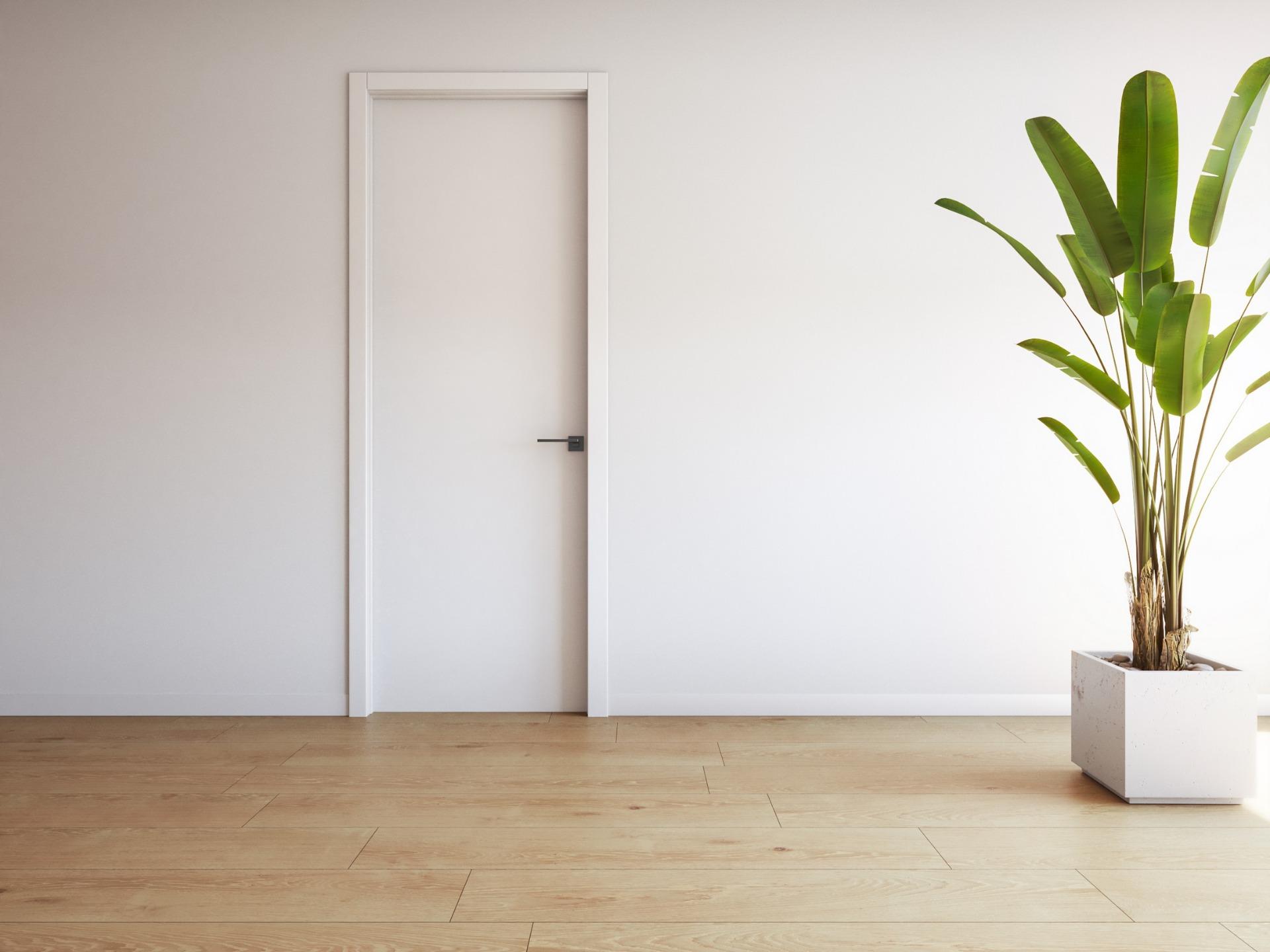 Minimalist bright interior with sleek white door and vibrant green plant in exclusive 2-bedroom penthouse, Torrevieja.