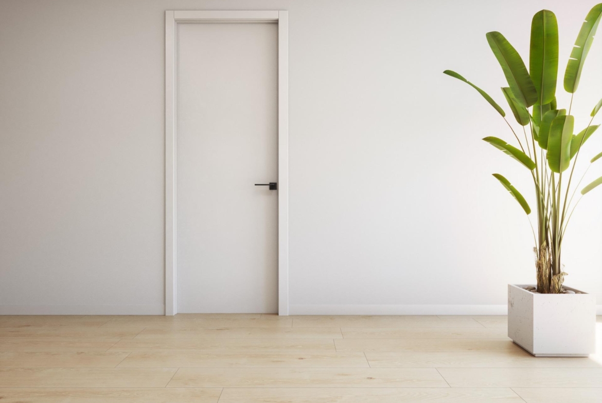 Minimalist bright hallway with sleek white door and modern potted plant in luxury 2-bedroom ground floor apartment in Torrevieja.