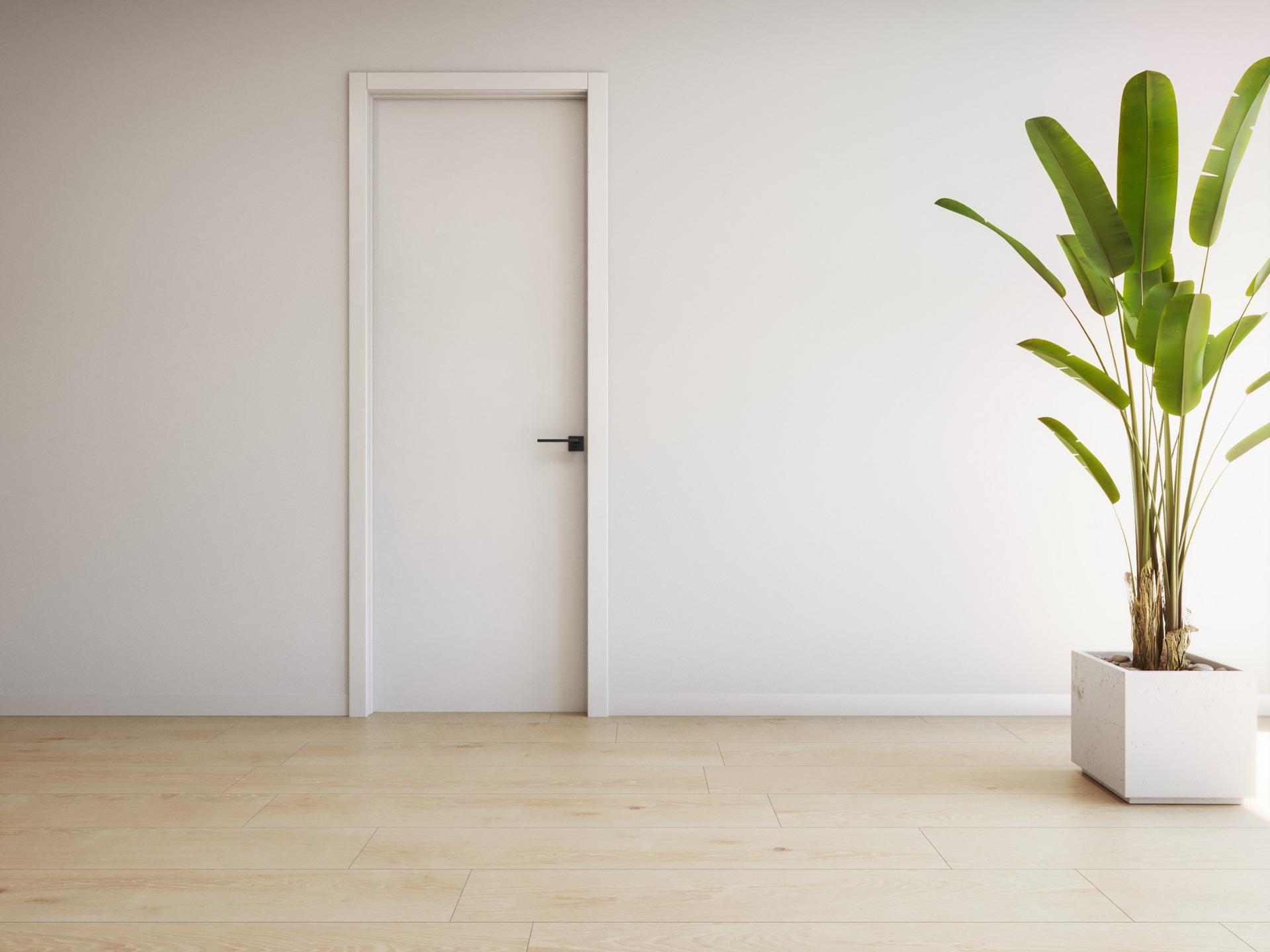Minimalist bright hallway with sleek white door and modern potted plant in luxury 2-bedroom ground floor apartment in Torrevieja.