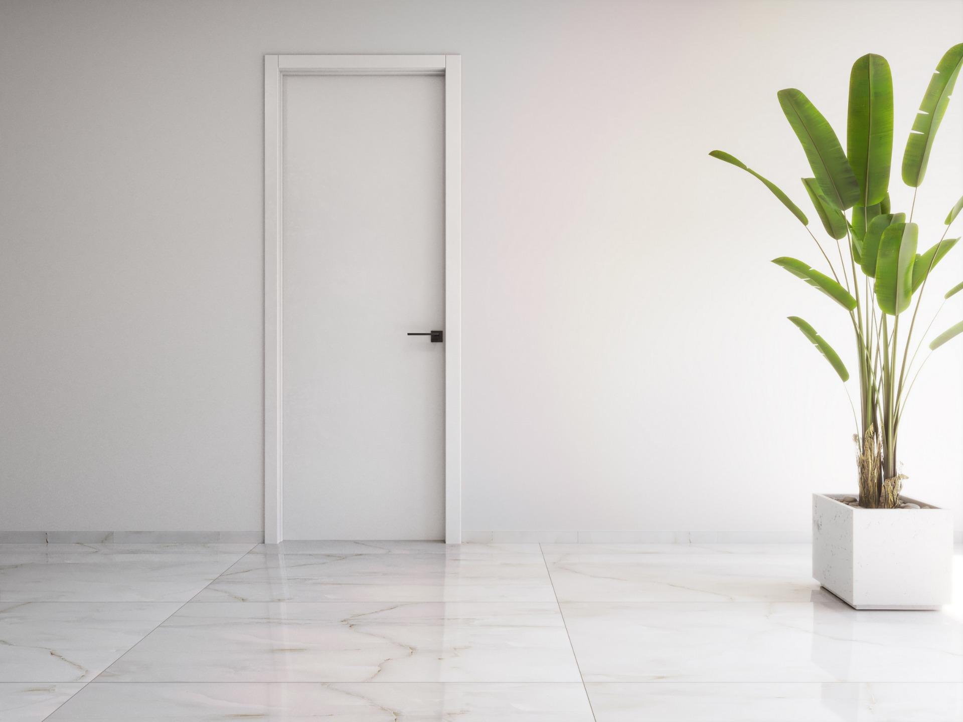 Minimalist bright room with sleek marble floor and vibrant green plant in modern 2-bedroom ground floor apartment in Torrevieja.