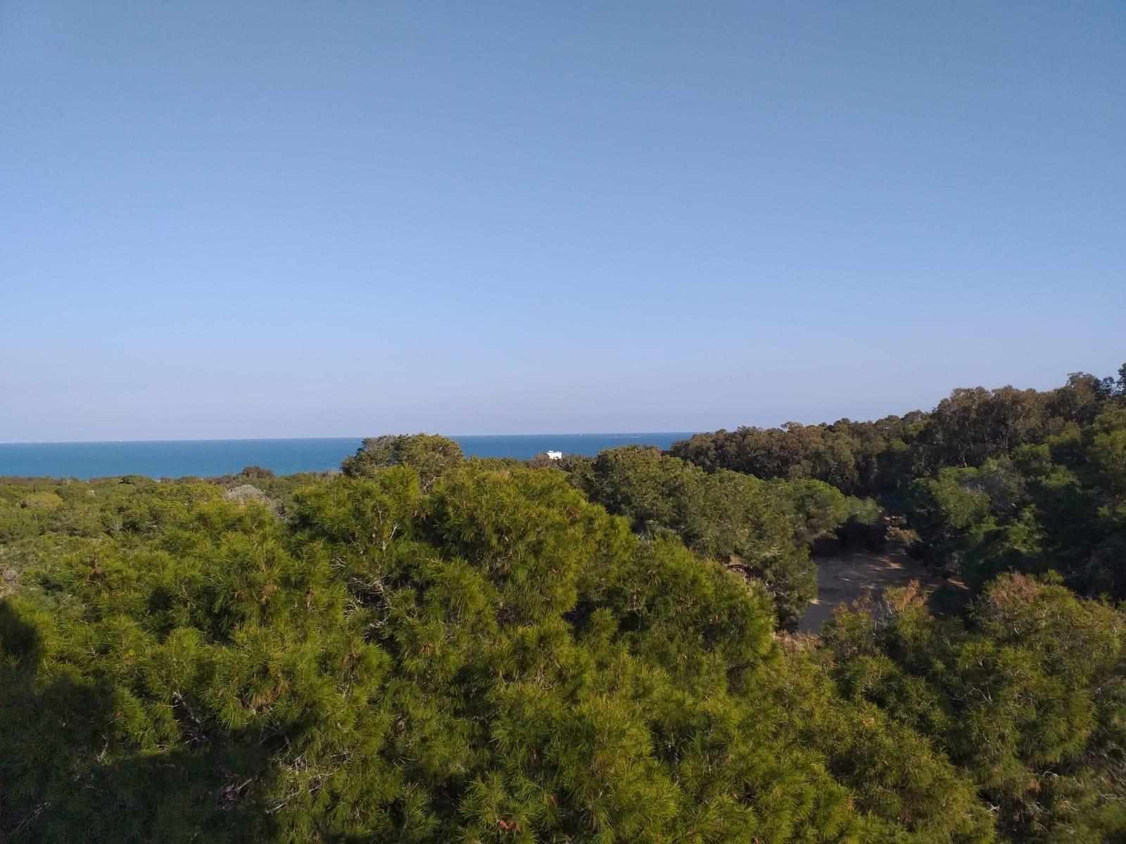 Exclusive New Build 3 Bedroom Penthouse with Sea Views and Communal Pool for Sale in Guardamar del Segura