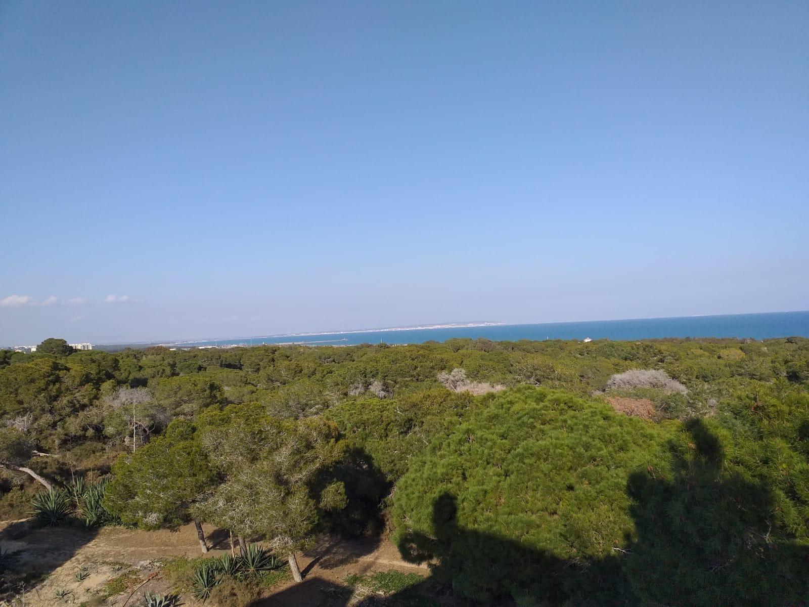 Modern New Build 3 Bedroom Apartment with Communal Pool for Sale in Guardamar del Segura, Near the Beach