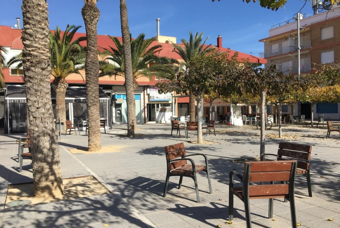 Sunny public square with palm trees and seating near modern semi-detached villas in Pilar de la Horadada