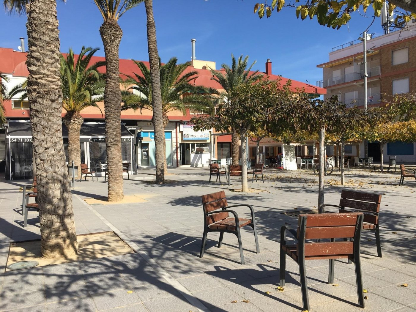 Sunny public square with palm trees and seating near modern semi-detached villas in Pilar de la Horadada