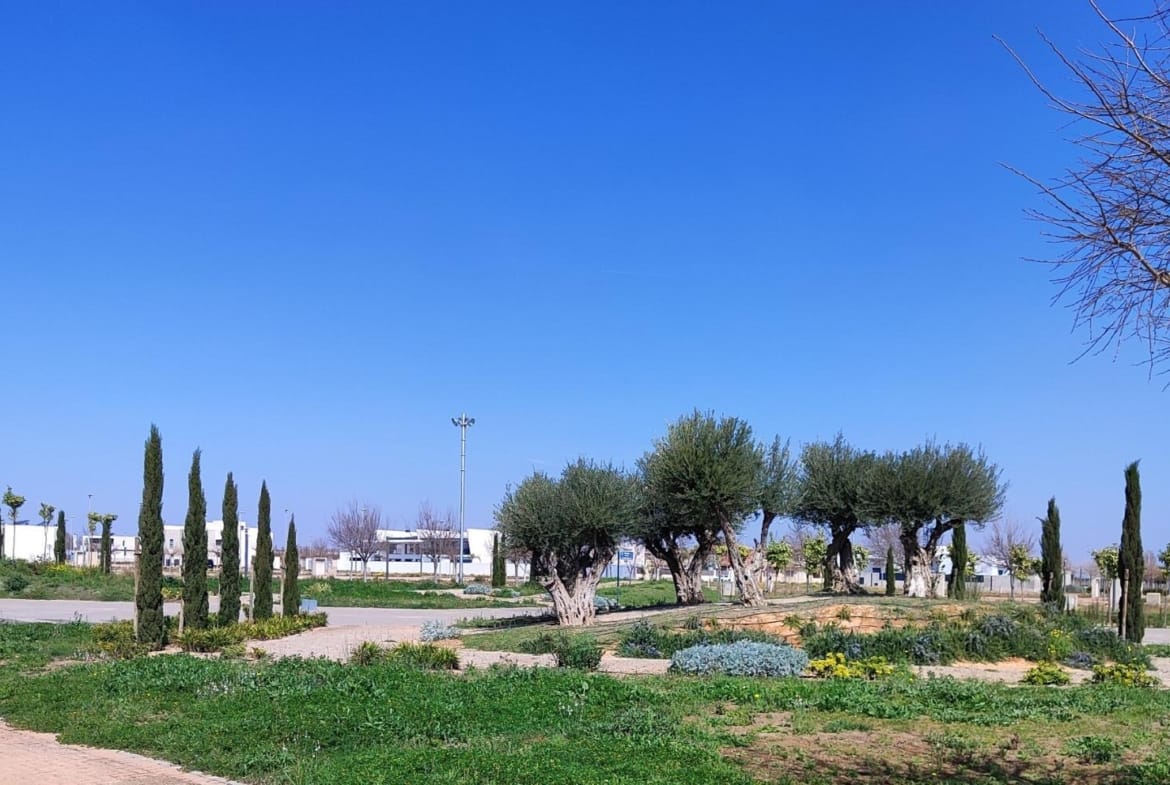 Bright landscaped garden with mature trees and clear blue sky surrounding the new build 3 bedroom apartment in Torre-Pacheco, Murcia