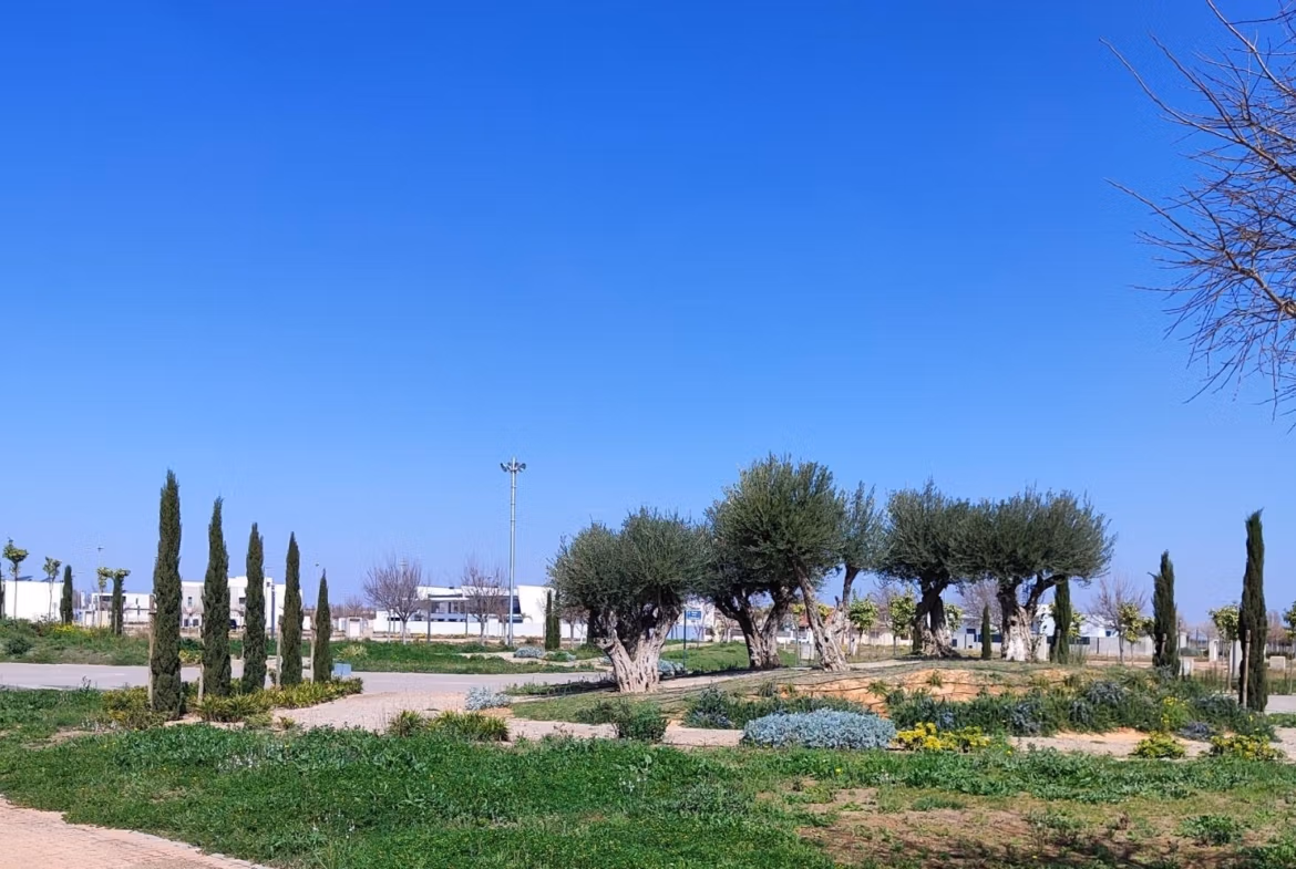 Bright landscaped garden with mature trees and clear blue sky surrounding the new build 3 bedroom apartment in Torre-Pacheco, Murcia