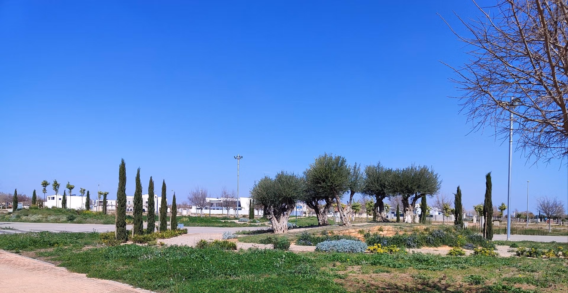 Bright landscaped garden with mature trees and clear blue sky surrounding the new build 3 bedroom apartment in Torre-Pacheco, Murcia