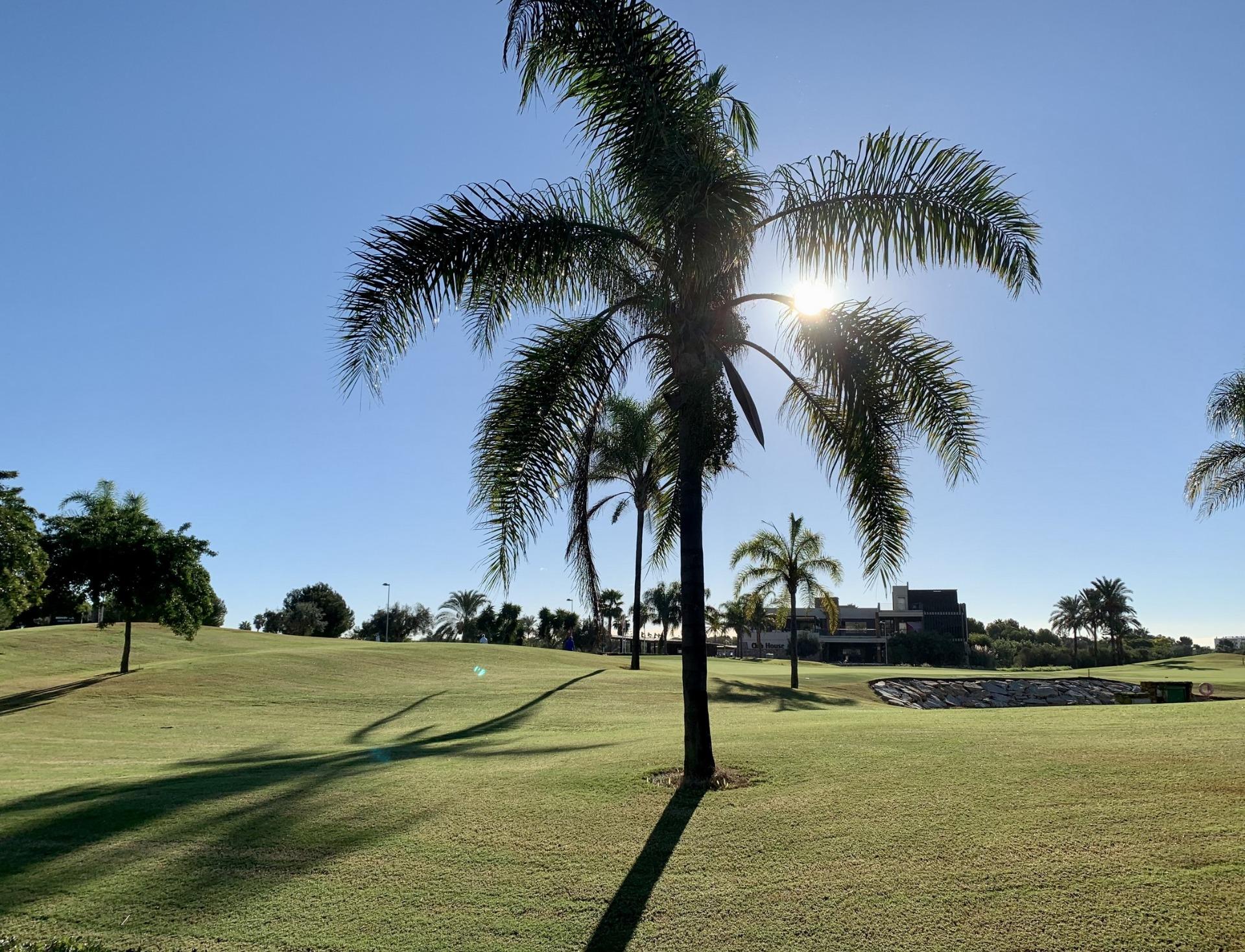 Lush green golf course with tall palm trees basking in sunlight near modern penthouse in Roda Golf, San Javier.