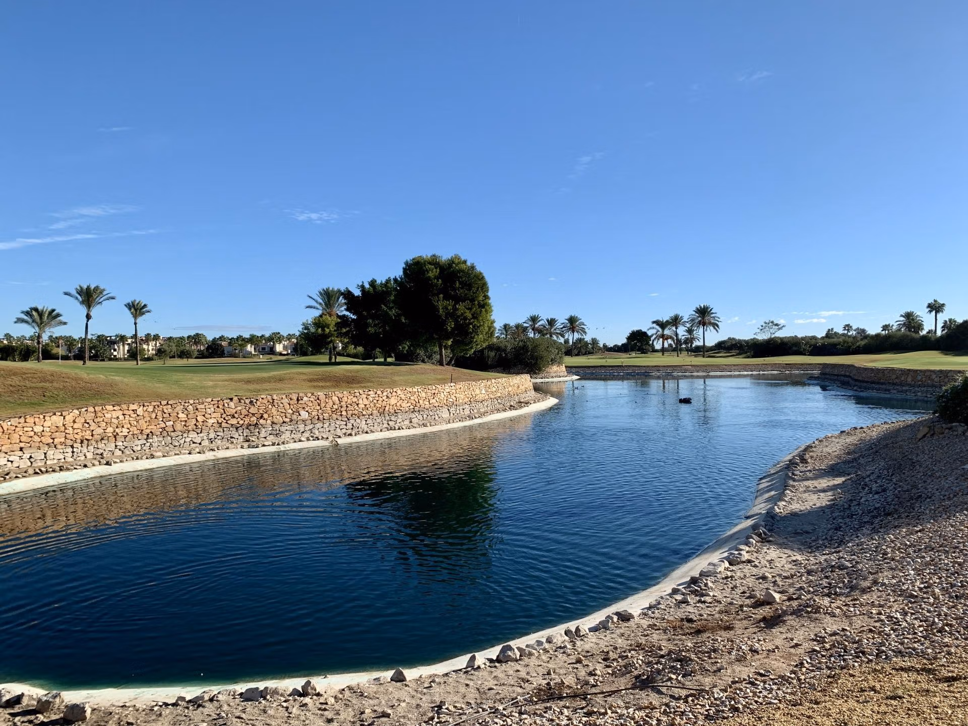 Tranquil landscaped golf course with water feature and palm trees near spacious new build bungalow in Roda Golf, San Javier