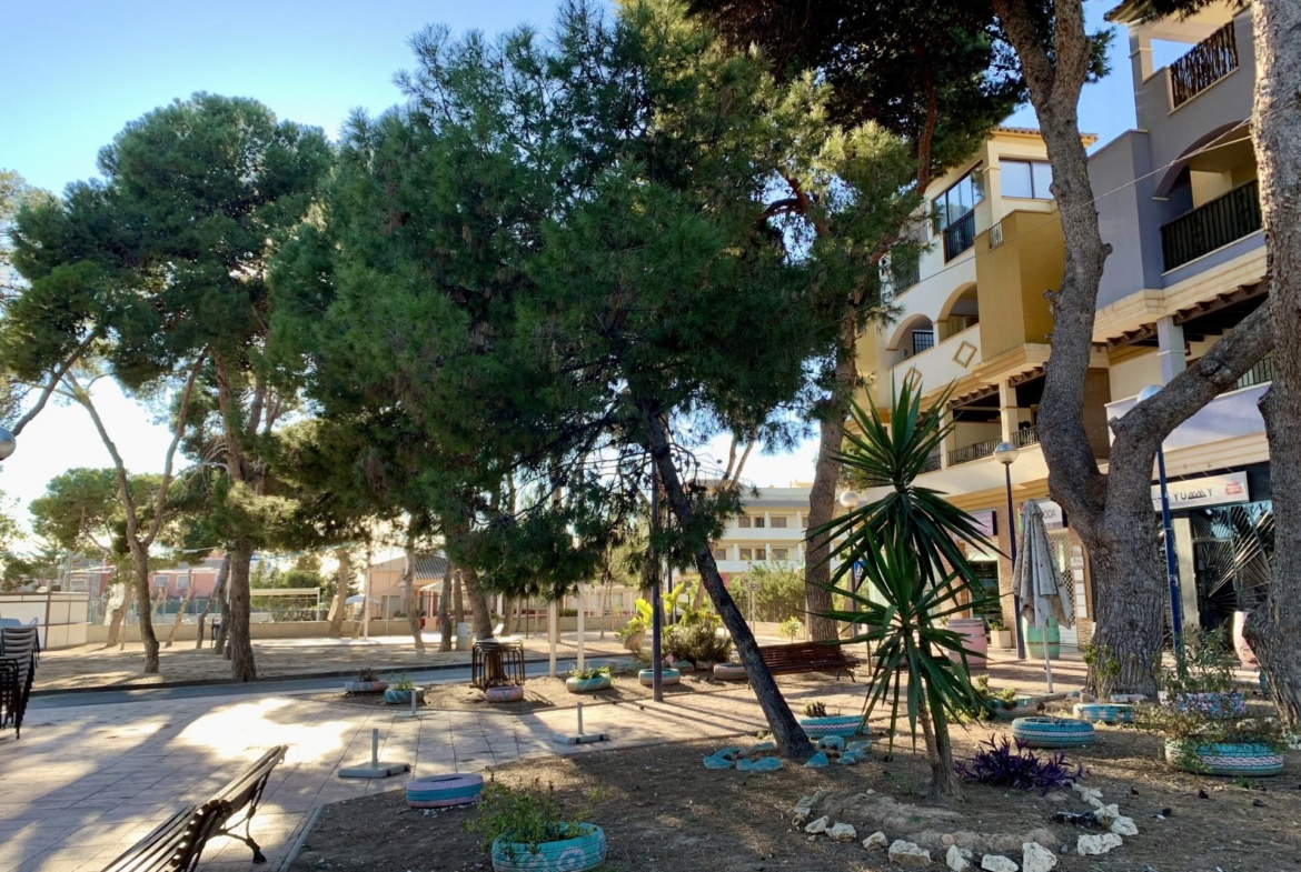Shaded, tranquil courtyard with mature trees and seating area at spacious new build 3 bedroom ground floor bungalow in Roda Golf San Javier