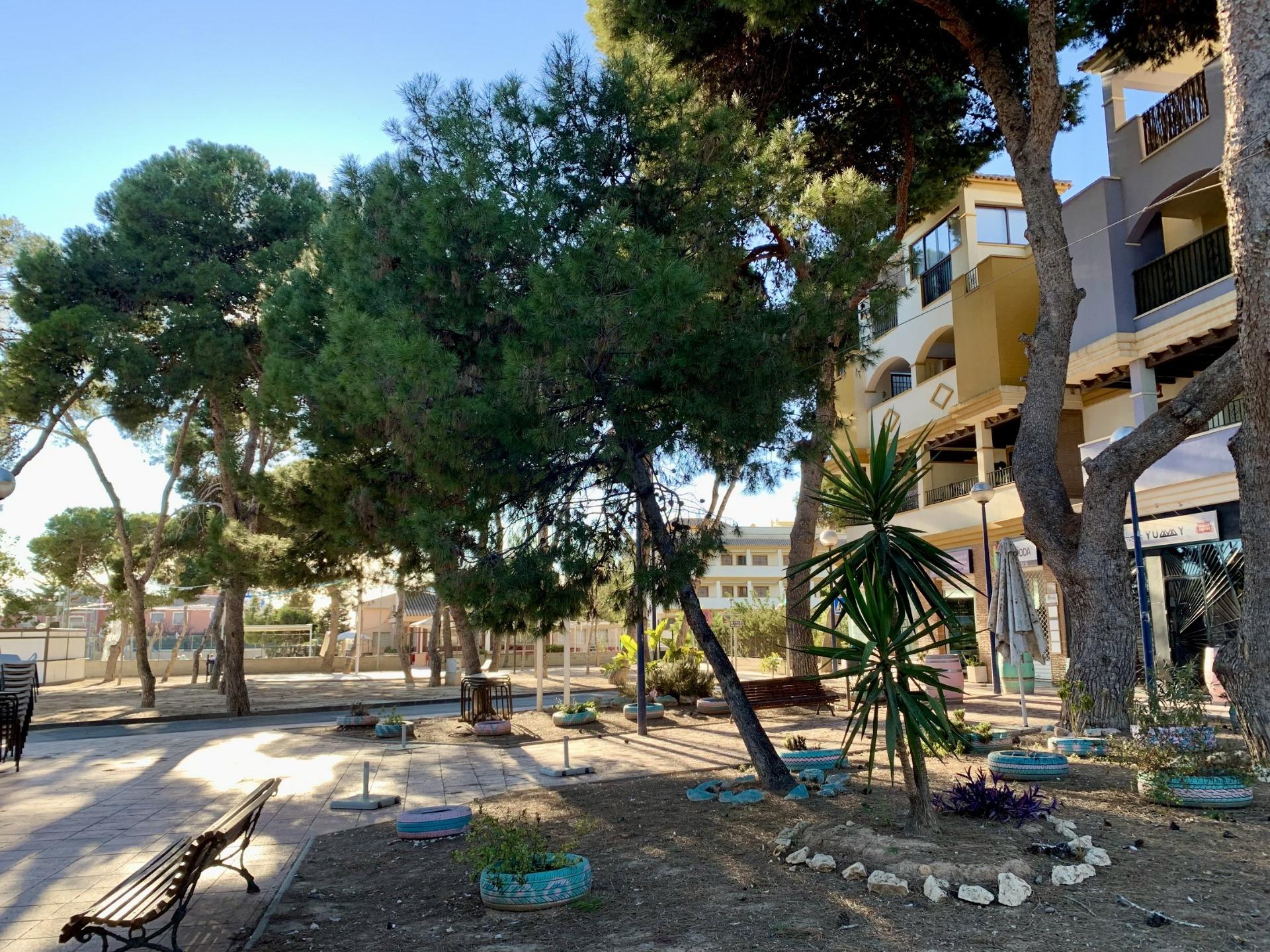 Tranquil landscaped courtyard with mature trees and seating area at modern new build 3 bedroom penthouse, Roda Golf San Javier