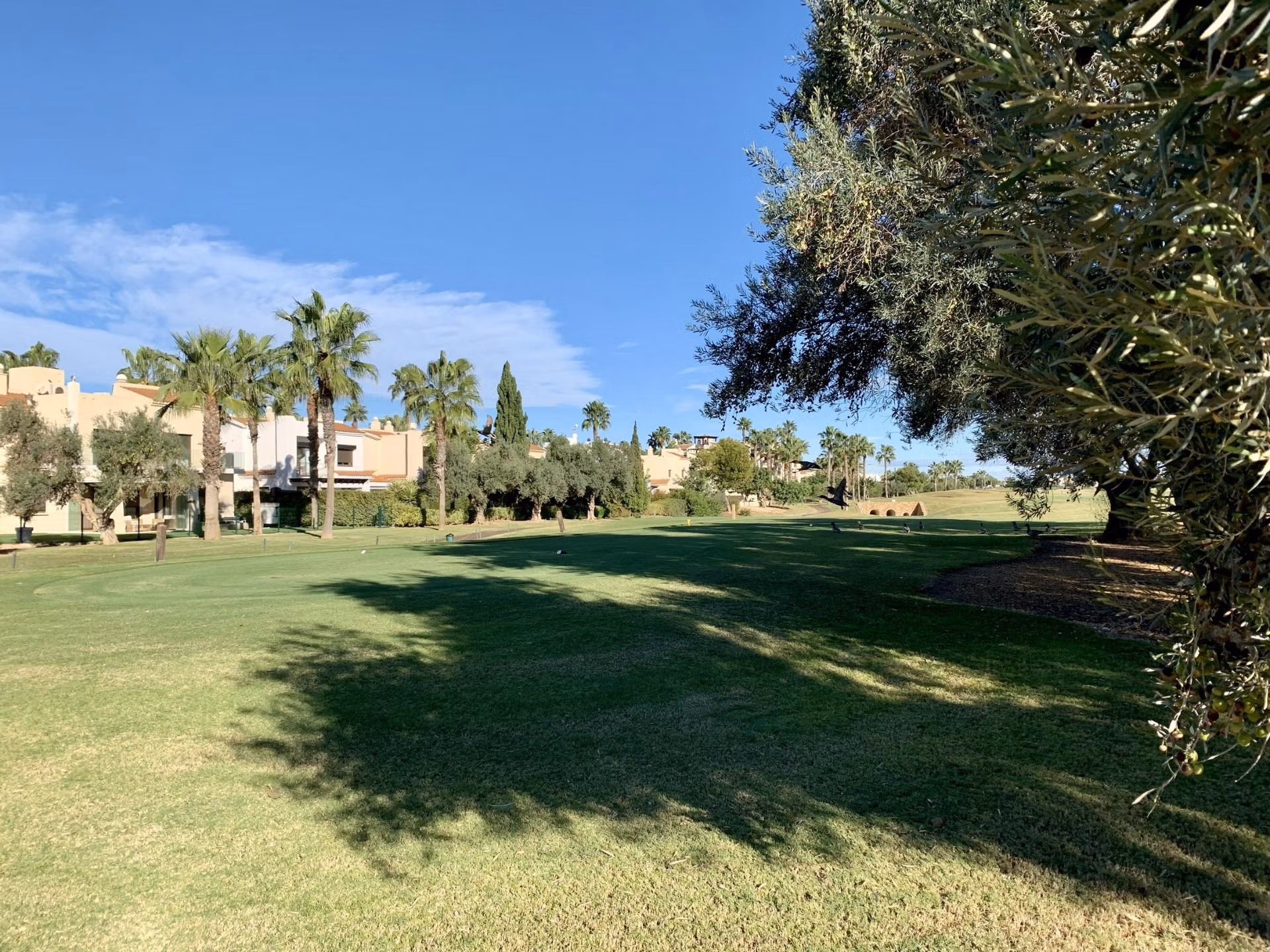Sunlit exterior view of spacious new build 3-bedroom ground floor bungalow overlooking lush landscaped golf course in Roda Golf, San Javier.