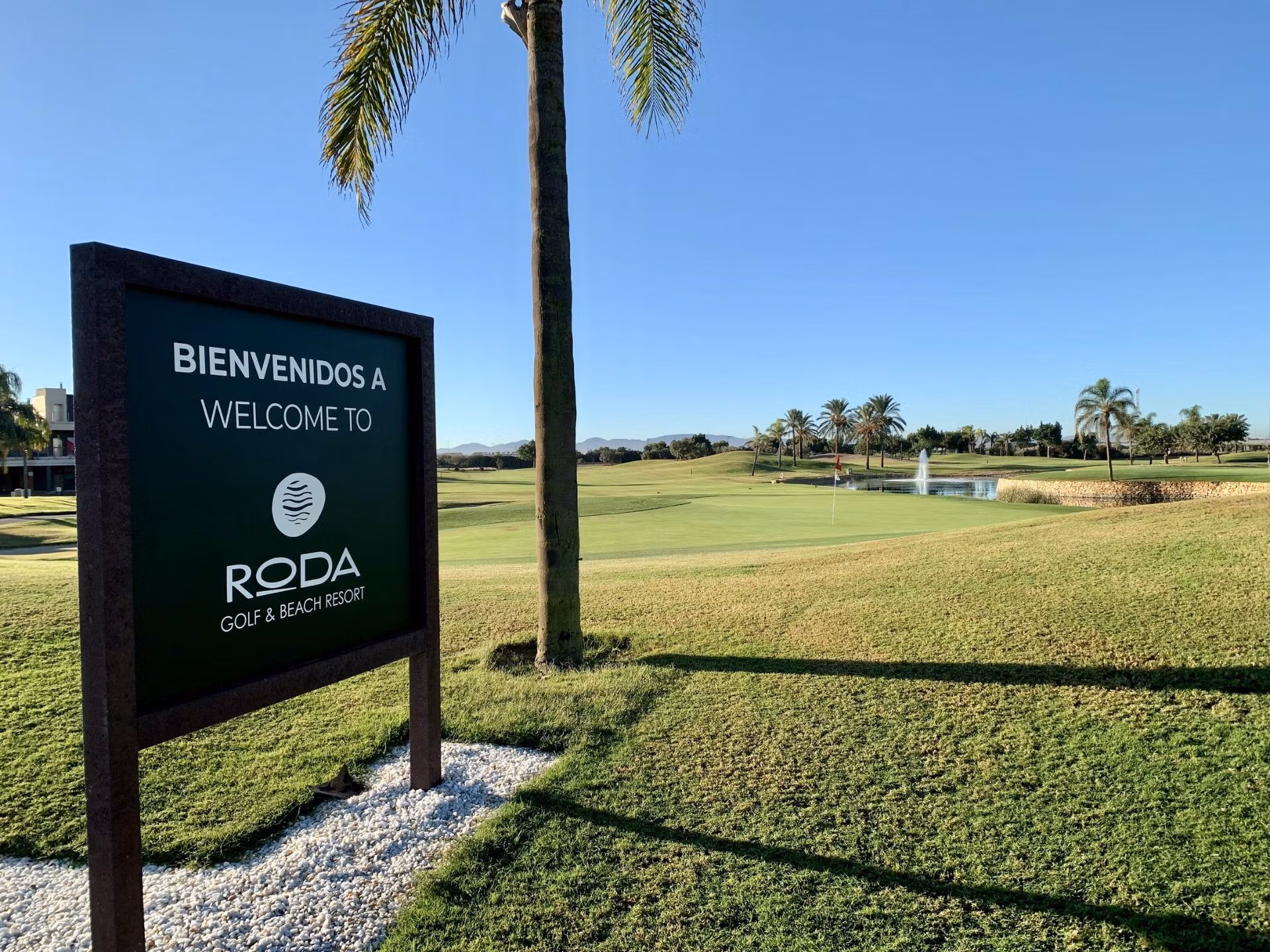 Sunlit, manicured golf course with palm trees and fountain at Roda Golf in San Javier, ideal view for a spacious bungalow.