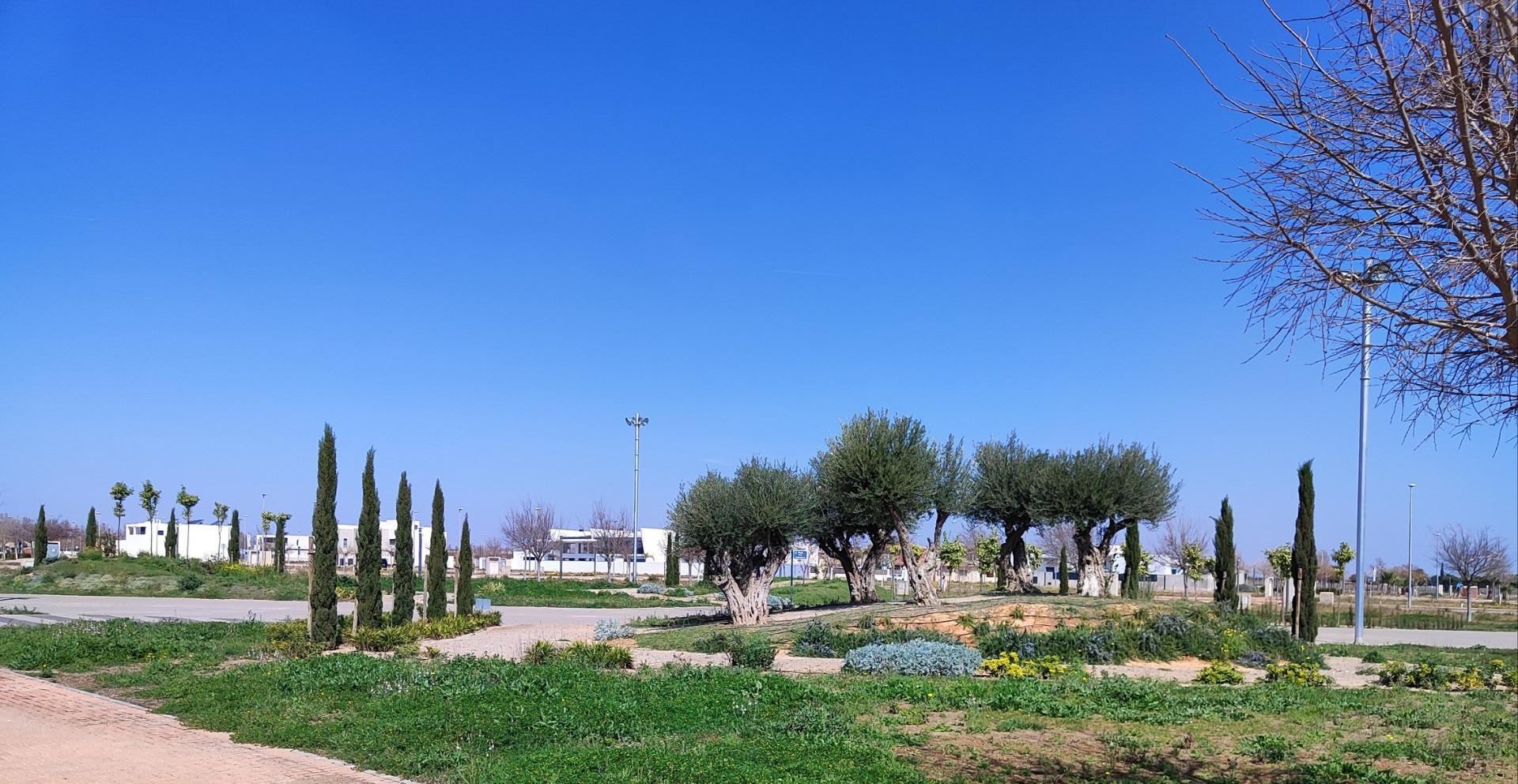 New Build 3 Bedroom Penthouse with 108 m² Solarium for Sale in Torre-Pacheco, Murcia