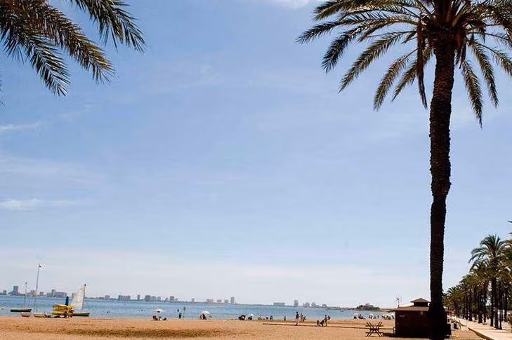 Panoramic sandy beach view framed by palm trees from a luxury 2-bedroom penthouse with private solarium in Mar de Cristal.