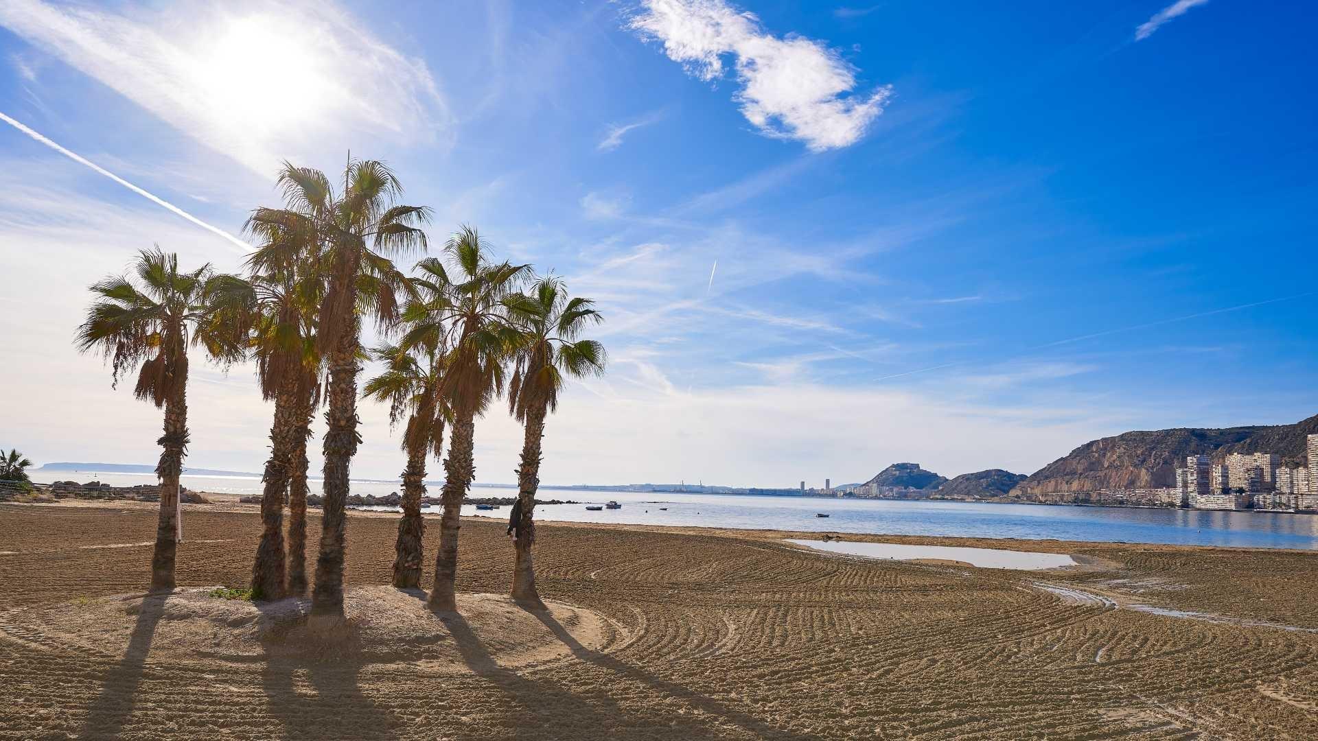 Modern New Build 3 Bedroom Semi-Detached Villa with Private Garden and Solarium for Sale in Els Poblets