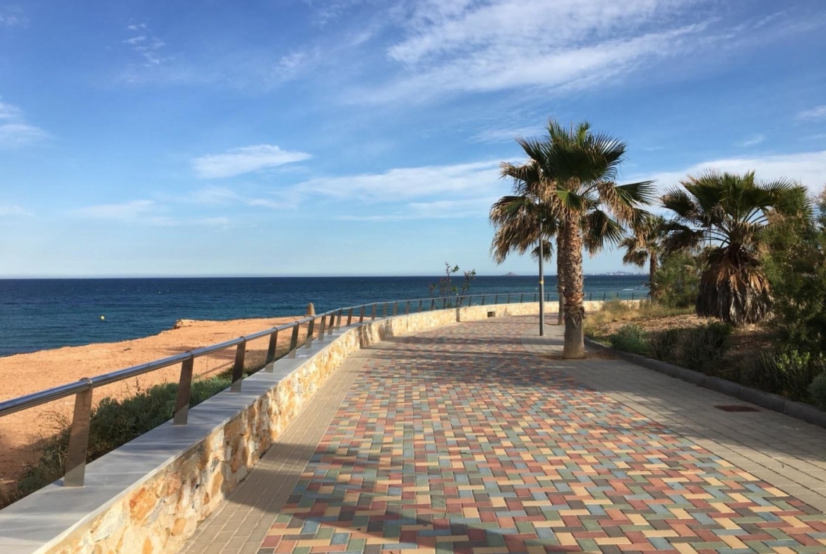 Sun-drenched coastal promenade with palm trees and sea views near new build villas in Torre de la Horadada