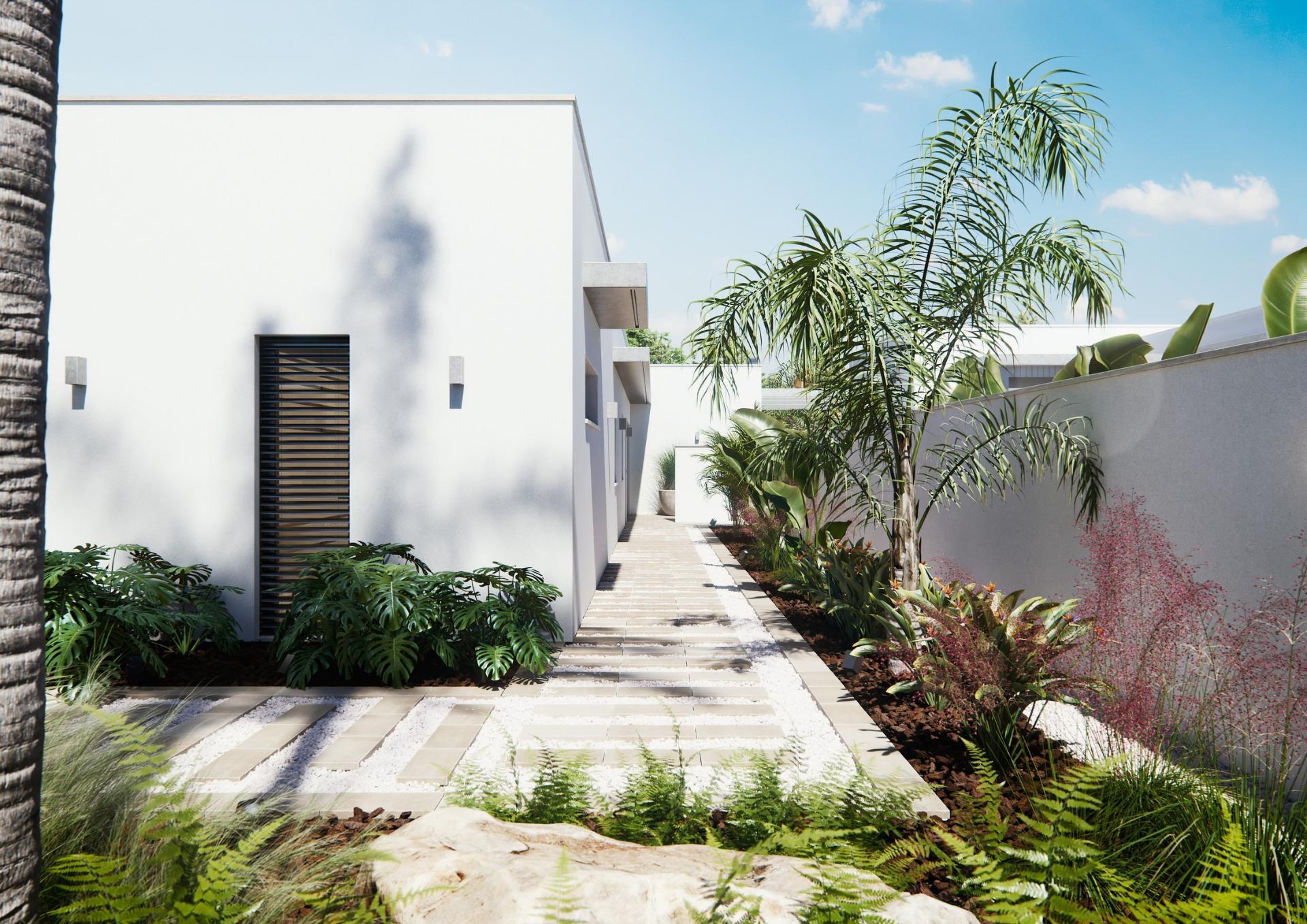 Modern new built villa on a floor with a sunlit, landscaped exterior pathway adorned with lush greenery and palm trees.