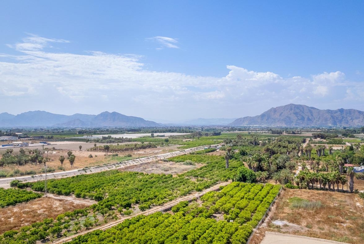 Panoramic countryside and mountain views from the affordable new build 3 bedroom ground floor apartment with private patio in Jacarilla.