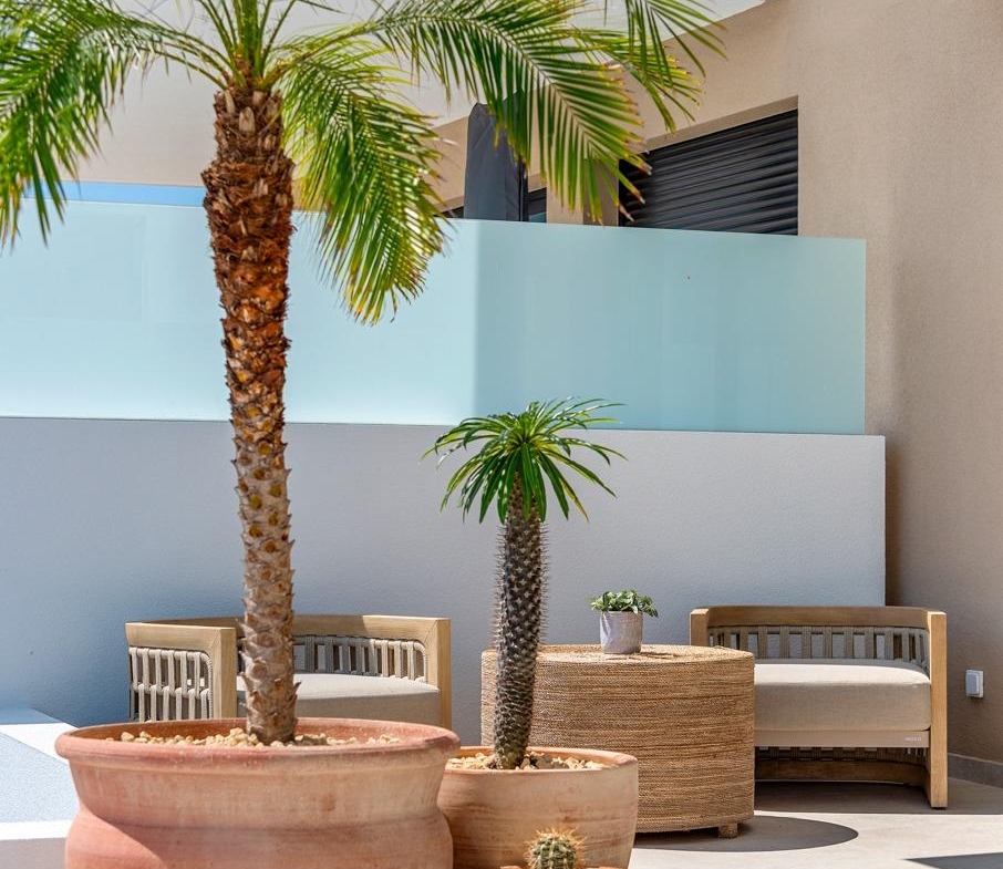 Sun-drenched terrace with elegant potted palms and modern seating in spacious new build 3-bedroom villa, Dolores, Alicante