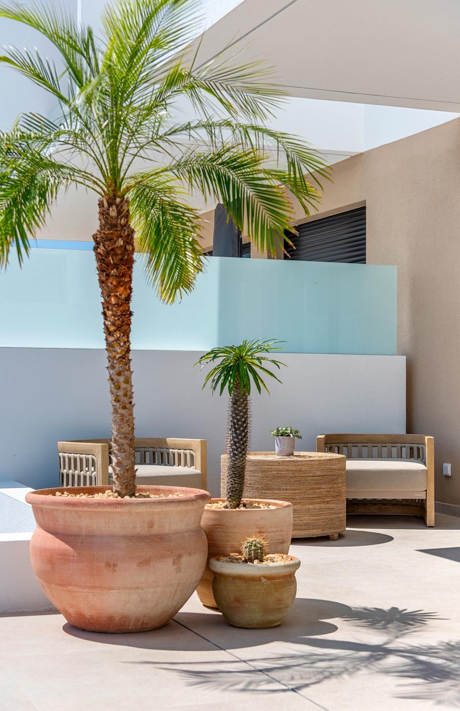 Sun-drenched terrace with elegant potted palms and modern seating in spacious new build 3-bedroom villa, Dolores, Alicante