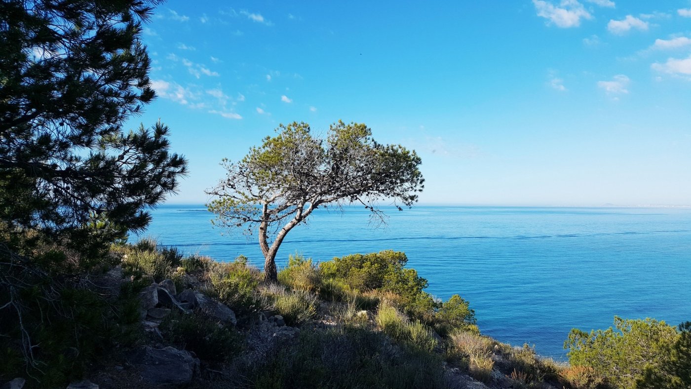 New Build 1 Bedroom Ground Floor Apartment for Sale in Villajoyosa – 50m from Torres Beach