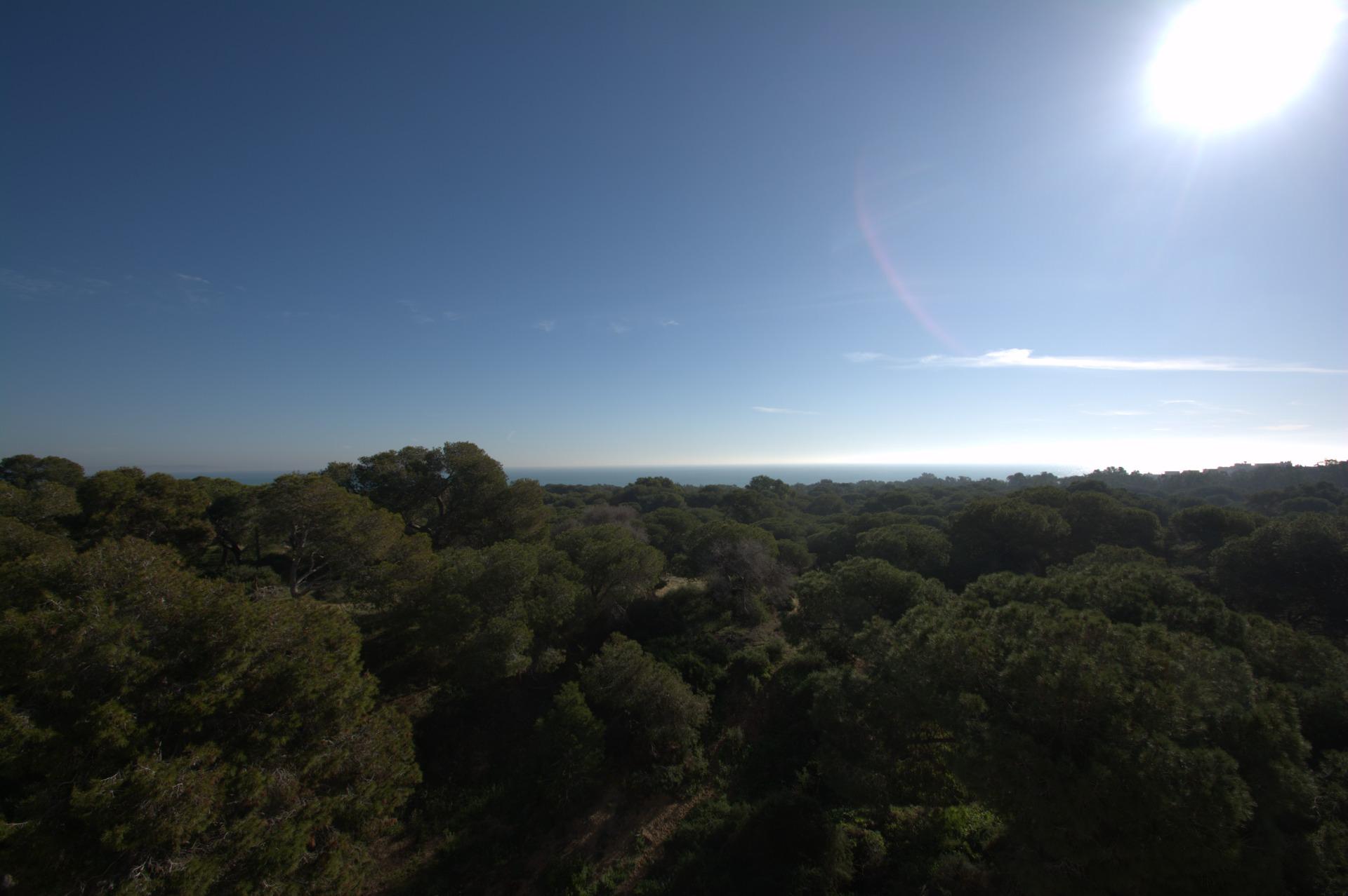 New-Build-Apartments-in-the-Centre-of-Guardamar-del-Segura-Near-the-Beach-13 Exclusive New Build 3 Bedroom Penthouse with Sea Views for Sale in Guardamar del Segura, Costa Blanca