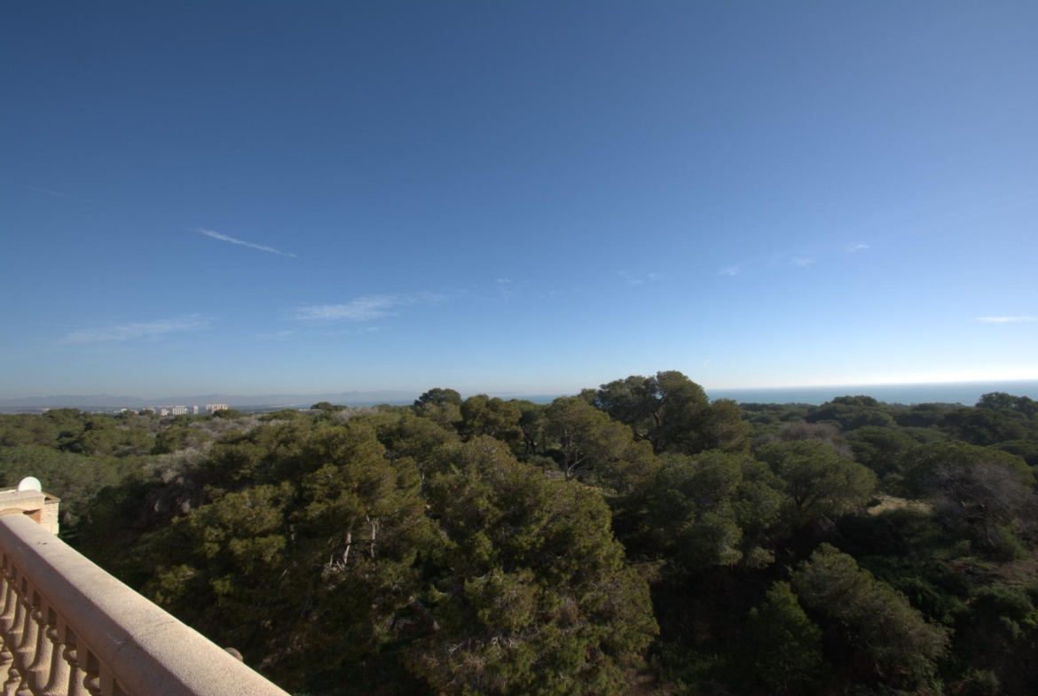 New-Build-Apartments-in-the-Centre-of-Guardamar-del-Segura-Near-the-Beach-14