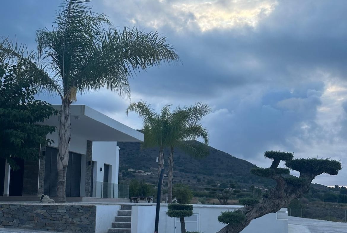 Landscaped entrance with palm trees at a Pinoso country villa, Alicante
