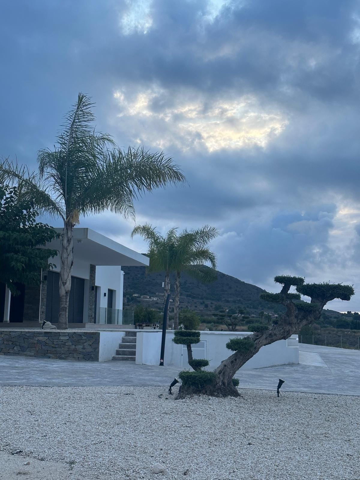 Custom-Built-New-Villas-in-Pinoso-Alicante-Spacious-Homes-in-Natural-Surroundings-24 Landscaped entrance with palm trees at a Pinoso country villa, Alicante