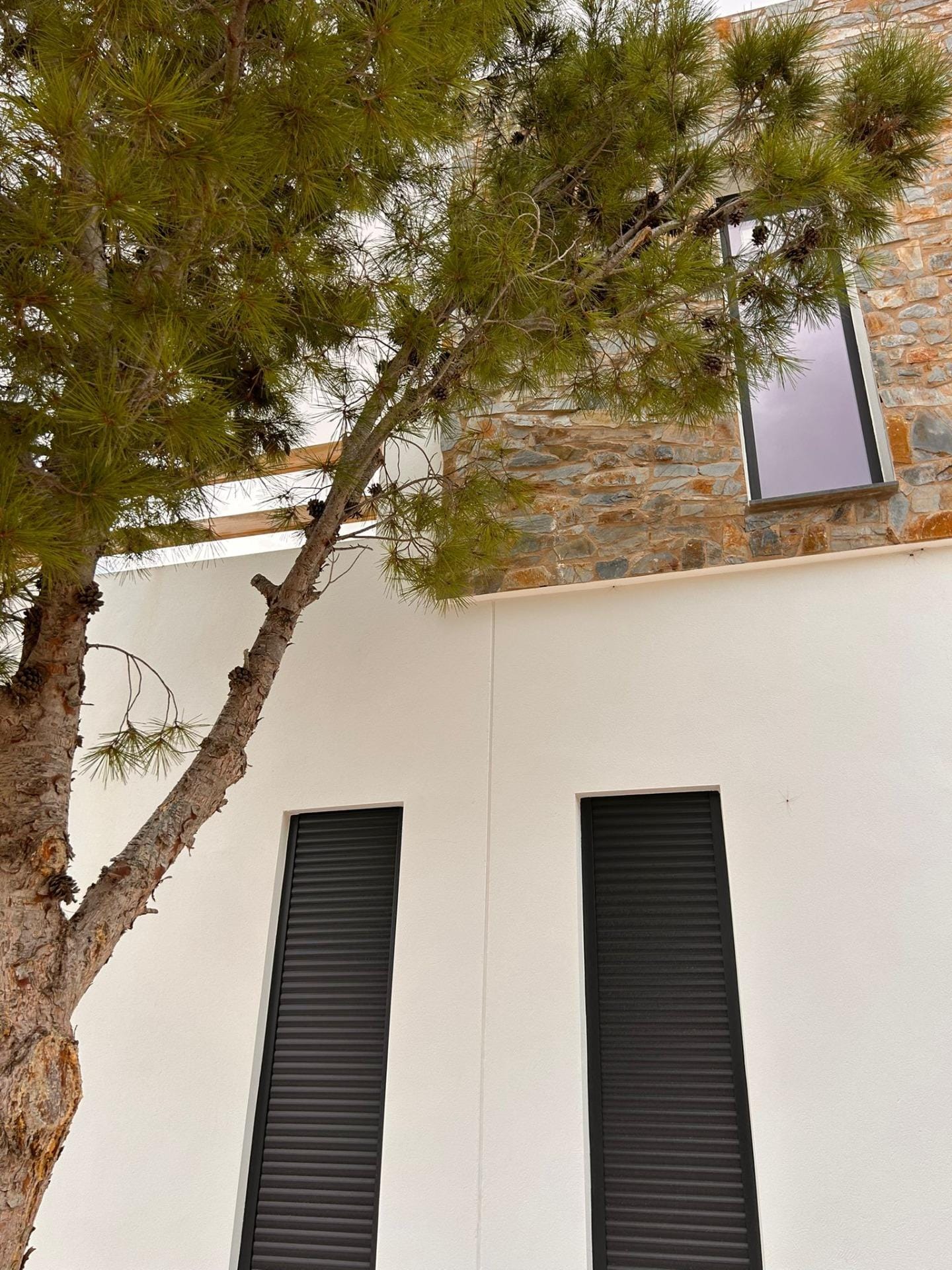 Custom-Built-New-Villas-in-Pinoso-Alicante-Spacious-Homes-in-Natural-Surroundings-29 Dark window shutters beneath a tree beside the villa in Pinoso, Alicante