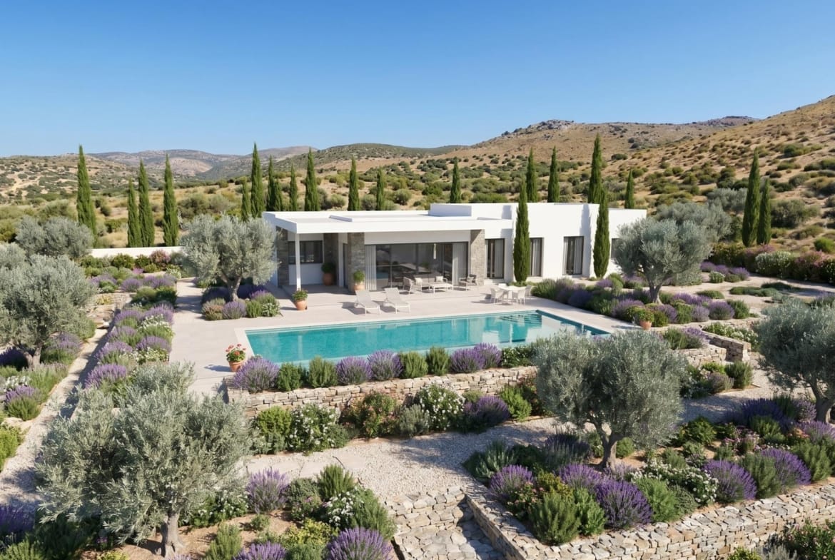 Landscaped plot around a new build country villa in Pinoso, Alicante