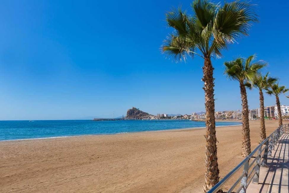 Las Delicias Beach and palm-lined promenade in Águilas