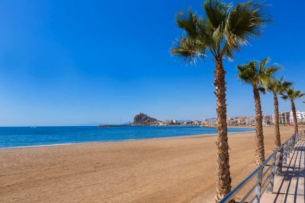 Las Delicias Beach and palm-lined promenade in Águilas
