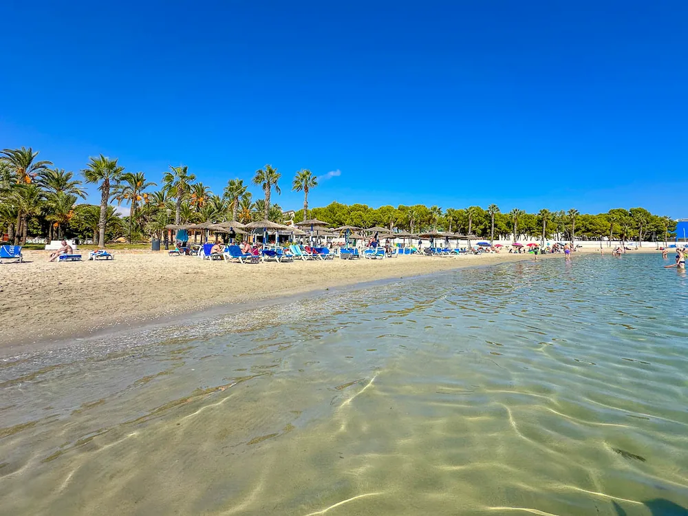 Sandy beach and palm trees beside the Mar Menor in Los Alcázares