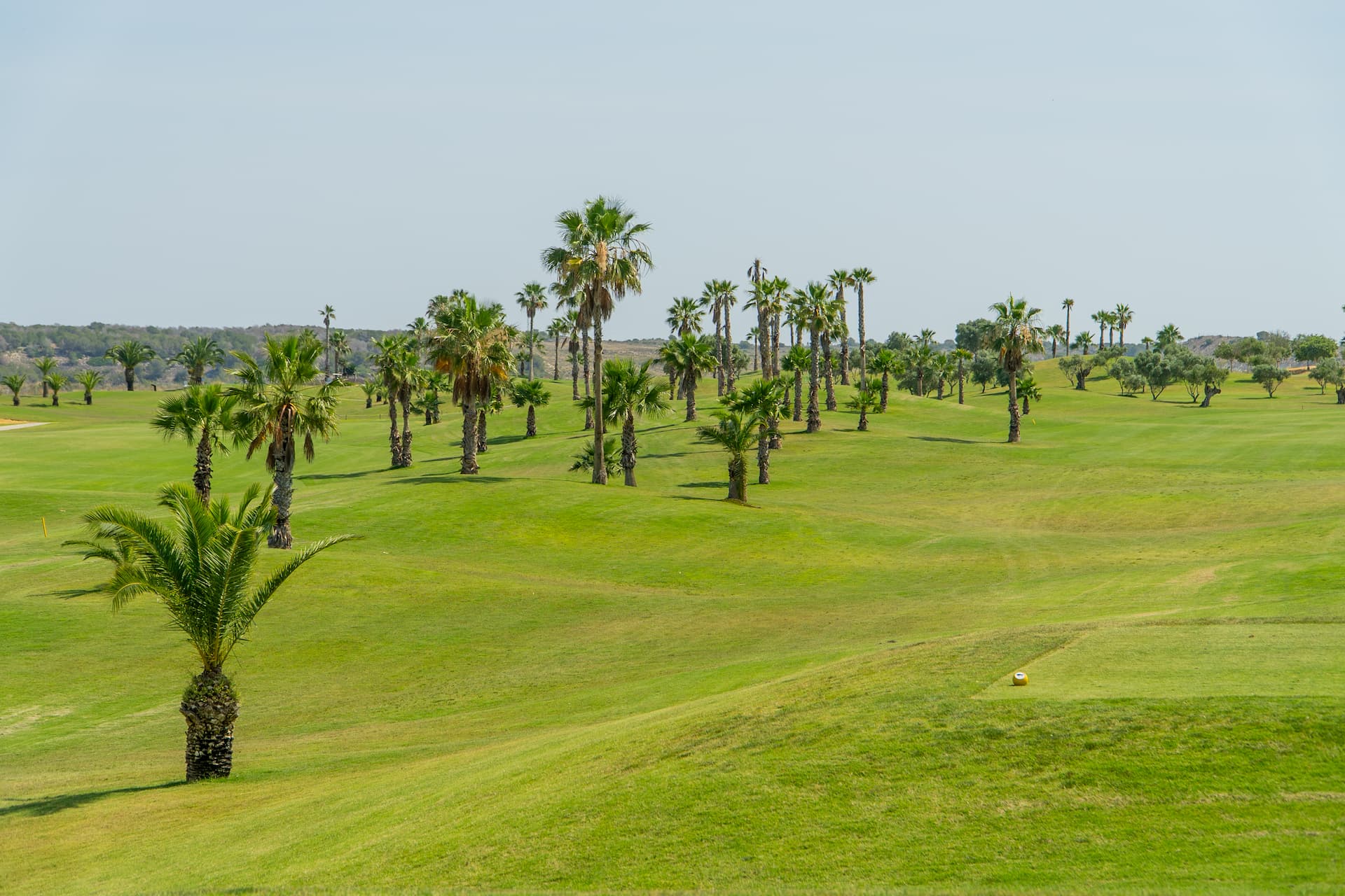 Palmbomen en groene fairways bij Vistabella Golf aan de Costa Blanca