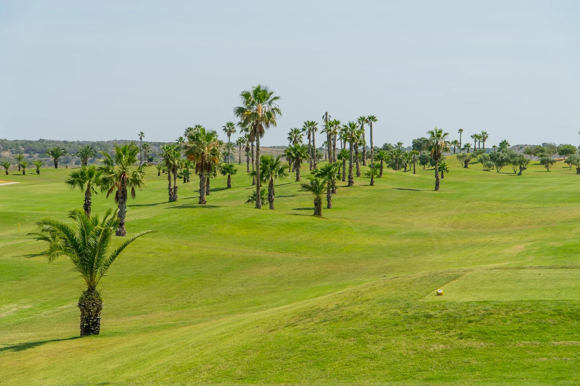 Palm trees and green fairways at Vistabella Golf on the Costa Blanca
