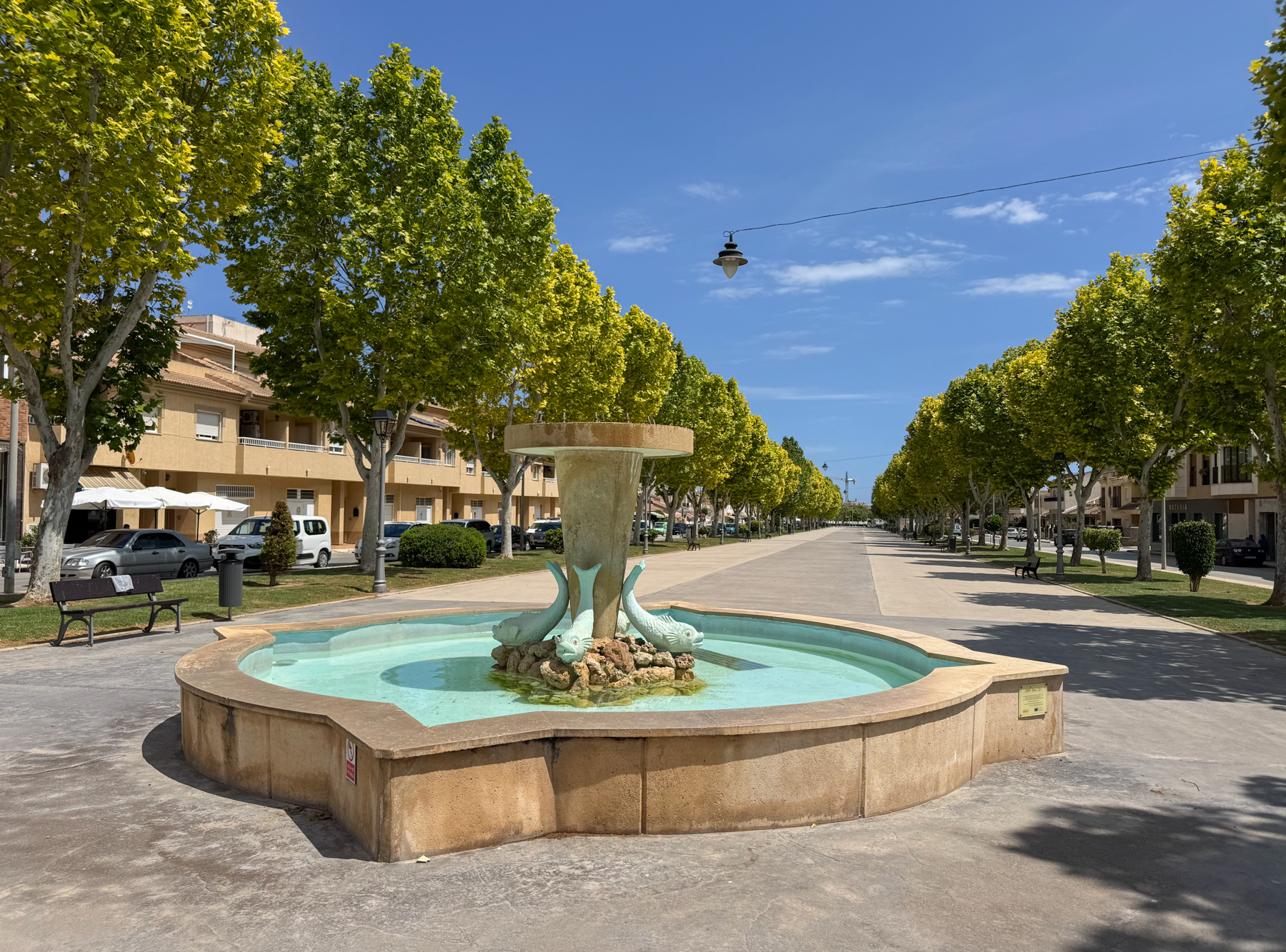 Fountain and tree-lined pedestrian avenue in Pilar de la Horadada town